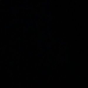 Meet your Posher, Deon